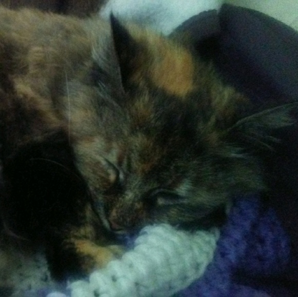 Meet your Posher, Rosario - Picture 1 of 1